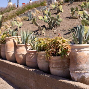 Marrakech, the ocher city